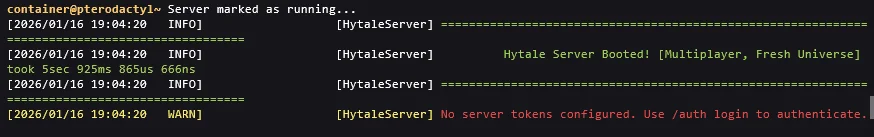 Server console showing the second authentication prompt after startup