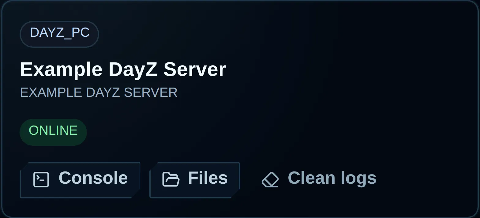 Customer Assigned servers page showing one online DayZ server and its Console and Files shortcuts